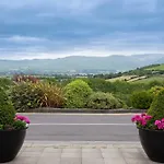 Ballyroe 3* Трали