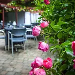 Ballyroe Hotel 3*