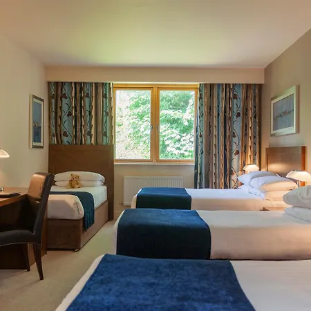 Ballyroe 3* Трали