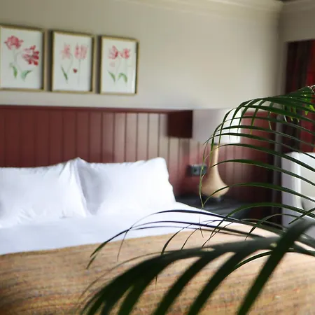 Hotel Ballyroe Tralee