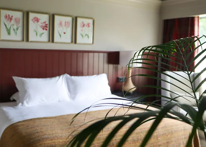 Hotel Ballyroe Tralee